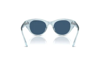 Achteraanzicht Swarovski SK6025 (106555)
