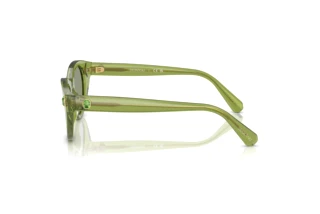Zijaanzicht Swarovski SK6025 (3002/2)