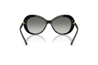 Achteraanzicht Swarovski SK6026 (100111)