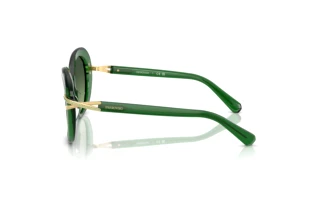 Zijaanzicht Swarovski SK6026 (10642A)