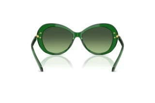 Achteraanzicht Swarovski SK6026 (10642A)