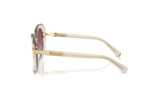 Zijaanzicht Swarovski SK6026 (30038H)