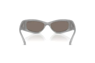 Achteraanzicht Swarovski SK6027 (10596G)