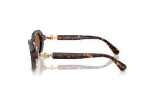 Zijaanzicht Swarovski SK6028 (100273)