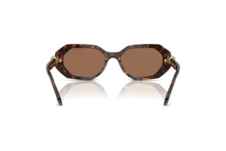 Achteraanzicht Swarovski SK6028 (100273)