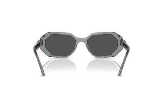 Achteraanzicht Swarovski SK6028 (10626G)