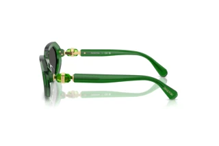 Zijaanzicht Swarovski SK6028 (106487)