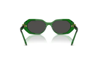 Achteraanzicht Swarovski SK6028 (106487)