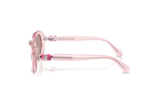 Zijaanzicht Swarovski SK6028 (30017N)