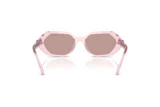 Achteraanzicht Swarovski SK6028 (30017N)