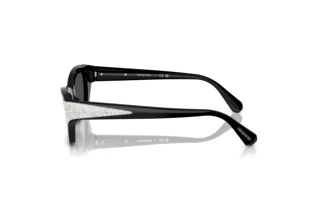 Zijaanzicht Swarovski SK6029 (100187)