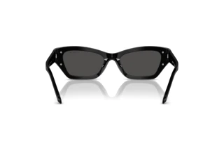 Achteraanzicht Swarovski SK6029 (100187)