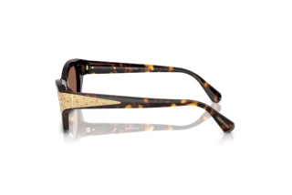 Zijaanzicht Swarovski SK6029 (100273)