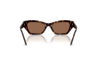 Achteraanzicht Swarovski SK6029 (100273)