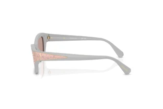 Zijaanzicht Swarovski SK6029 (10317N)