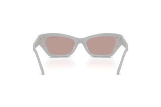 Achteraanzicht Swarovski SK6029 (10317N)