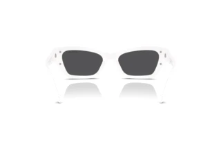 Achteraanzicht Swarovski SK6029 (10506G)
