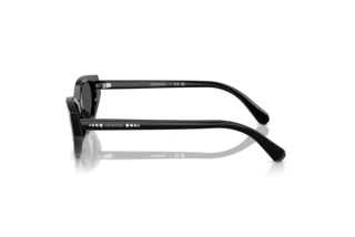 Zijaanzicht Swarovski SK6030 (100187)