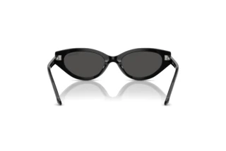 Achteraanzicht Swarovski SK6030 (100187)