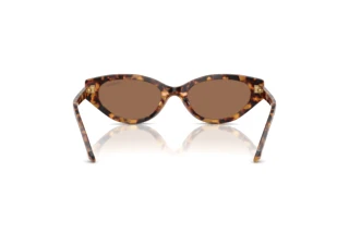 Achteraanzicht Swarovski SK6030 (104073)