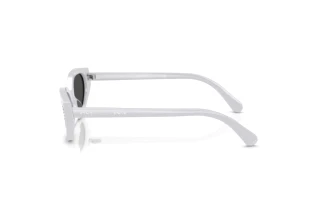 Zijaanzicht Swarovski SK6030 (106087)