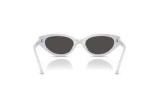 Achteraanzicht Swarovski SK6030 (106087)