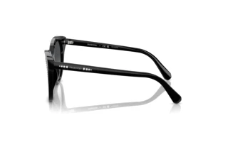 Zijaanzicht Swarovski SK6031 (1001T3)