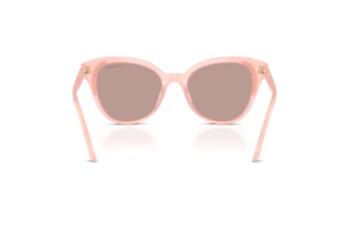 Achteraanzicht Swarovski SK6031 (10317N)