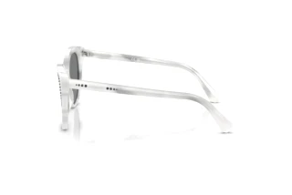Zijaanzicht Swarovski SK6031 (104287)