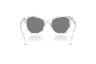 Achteraanzicht Swarovski SK6031 (104287)