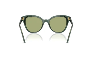 Achteraanzicht Swarovski SK6031 (104382)