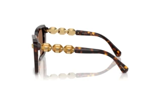 Zijaanzicht Swarovski SK6032 (100273)