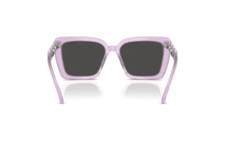 Achteraanzicht Swarovski SK6032 (107587)