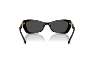 Achteraanzicht Swarovski SK6033 (100187)