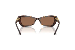Achteraanzicht Swarovski SK6033 (100273)