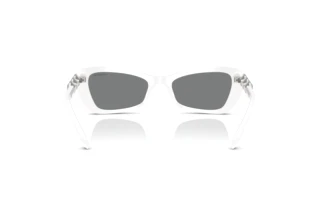 Achteraanzicht Swarovski SK6033 (105087)