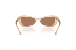 Achteraanzicht Swarovski SK6033 (106673)