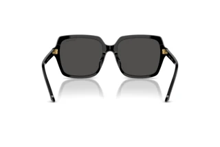 Achteraanzicht Swarovski SK6034D (100187)