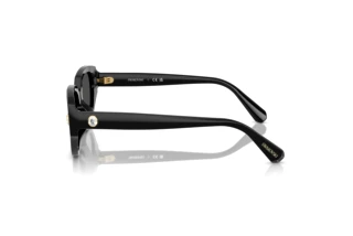 Zijaanzicht Swarovski SK6035D (100187)