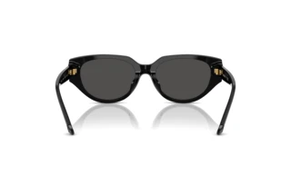 Achteraanzicht Swarovski SK6035D (100187)