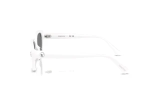 Zijaanzicht Swarovski SK6035D (105087)