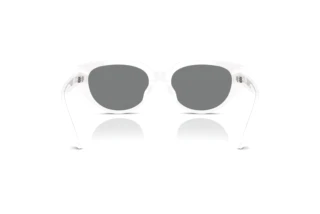 Achteraanzicht Swarovski SK6035D (105087)