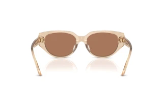 Achteraanzicht Swarovski SK6035D (106673)