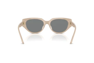 Achteraanzicht Swarovski SK6035D (106887)