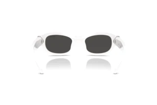 Achteraanzicht Swarovski SK6036U (105087)