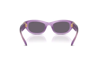 Achteraanzicht Swarovski SK6036U (10751A)