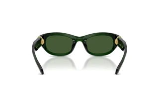 Achteraanzicht Swarovski SK6036U (108171)