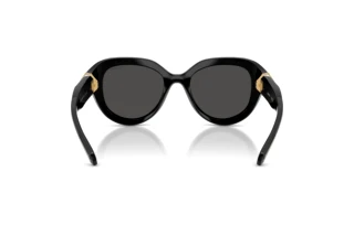 Achteraanzicht Swarovski SK6037 (100187)