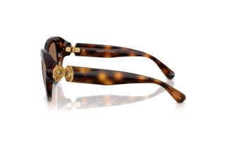 Zijaanzicht Swarovski SK6037 (100273)
