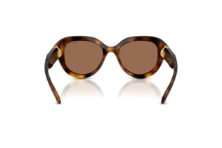 Achteraanzicht Swarovski SK6037 (100273)